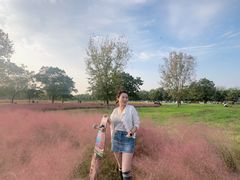 -汉长安城未央宫国家考古遗址公园