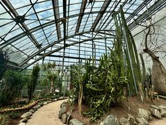 -南山植物园