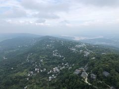 -大金鹰园