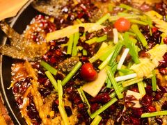 -老板恋上鱼(环山路店)