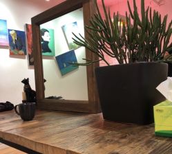 -HAIR PORN STUDIO