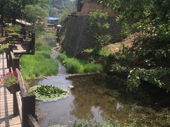 -Local泰莲庭(虹鳟鱼店)