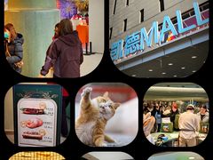 -凯德MALL(西直门店)