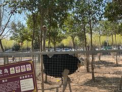 -洛阳马蹄泉旅游度假村