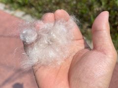 -万科·金域蓝湾