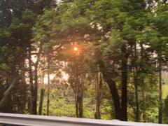 -叶婆婆豆浆馍馍