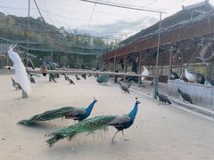 -韶关经律论国际酒店温泉