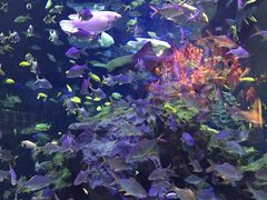 -成都浩海立方海洋公园