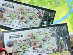 -打洛口岸