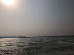 -丁香湖公园
