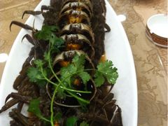 iphone_upload_pic-浦江餐饮·上海菜馆(五四路店)