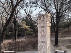 -元大都城垣遗址公园