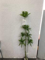 -纤手艺人