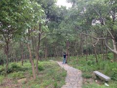 iphone_upload_pic-东湖景区