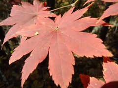 -丹东市五龙山风景区