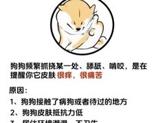 -御宝贝·A梦猫科宠物医院(国际猫友好医院)