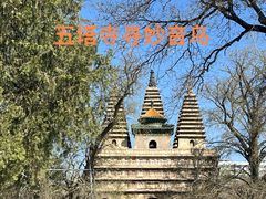 -北京石刻艺术博物馆(五塔寺)