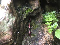 -宁波五龙潭景区