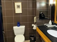 -武汉江城明珠豪生大酒店