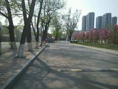 android_upload_pic-辽宁大学(崇山校区)