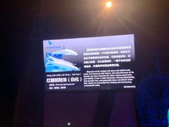 -太平洋海底世界