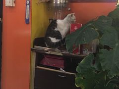 -乡间好味私家菜(总店)