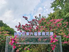 -杭州城北体育公园