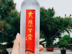 -龙华寺