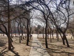 -长春公园(普阳街道)