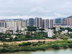 -大亚湾红树林城市湿地公园