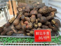 -太婆天府山珍酒楼(亚运村店)