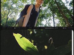 -火炉山森林公园