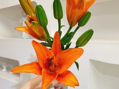 -森野花艺培训·企业团建活动沙龙