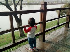 -艾溪湖湿地公园