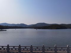 -佛手湖郊野公园