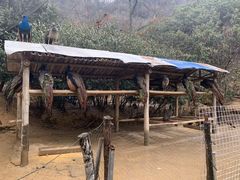 -新安江山水画廊风景区