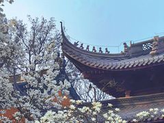 -灵谷景区