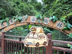 -西双版纳原始森林公园
