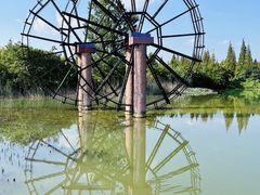 -泗洪洪泽湖湿地景区