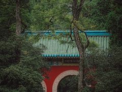 -灵谷景区