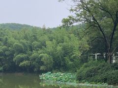 -河南省黄河迎宾馆