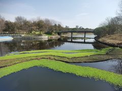 -尚贤河湿地