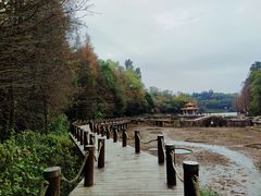 -深圳仙湖植物园