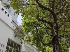 -收获咖啡HARVEST RESERVE(苍山店)