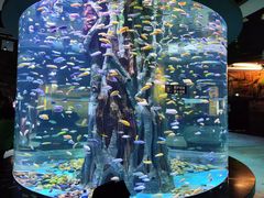 -乌鲁木齐海洋馆