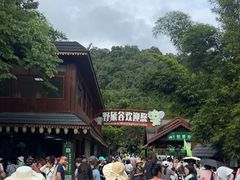 -野象谷景区