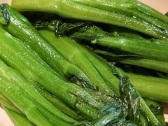 蒜蓉炒迟菜心-侨美食家·41年地道粤菜(恒福路店)