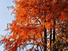 -东钱湖旅游度假区