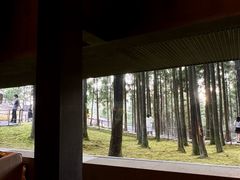 -玉苍山国家森林公园