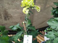 -共青国家森林公园-游客服务中心